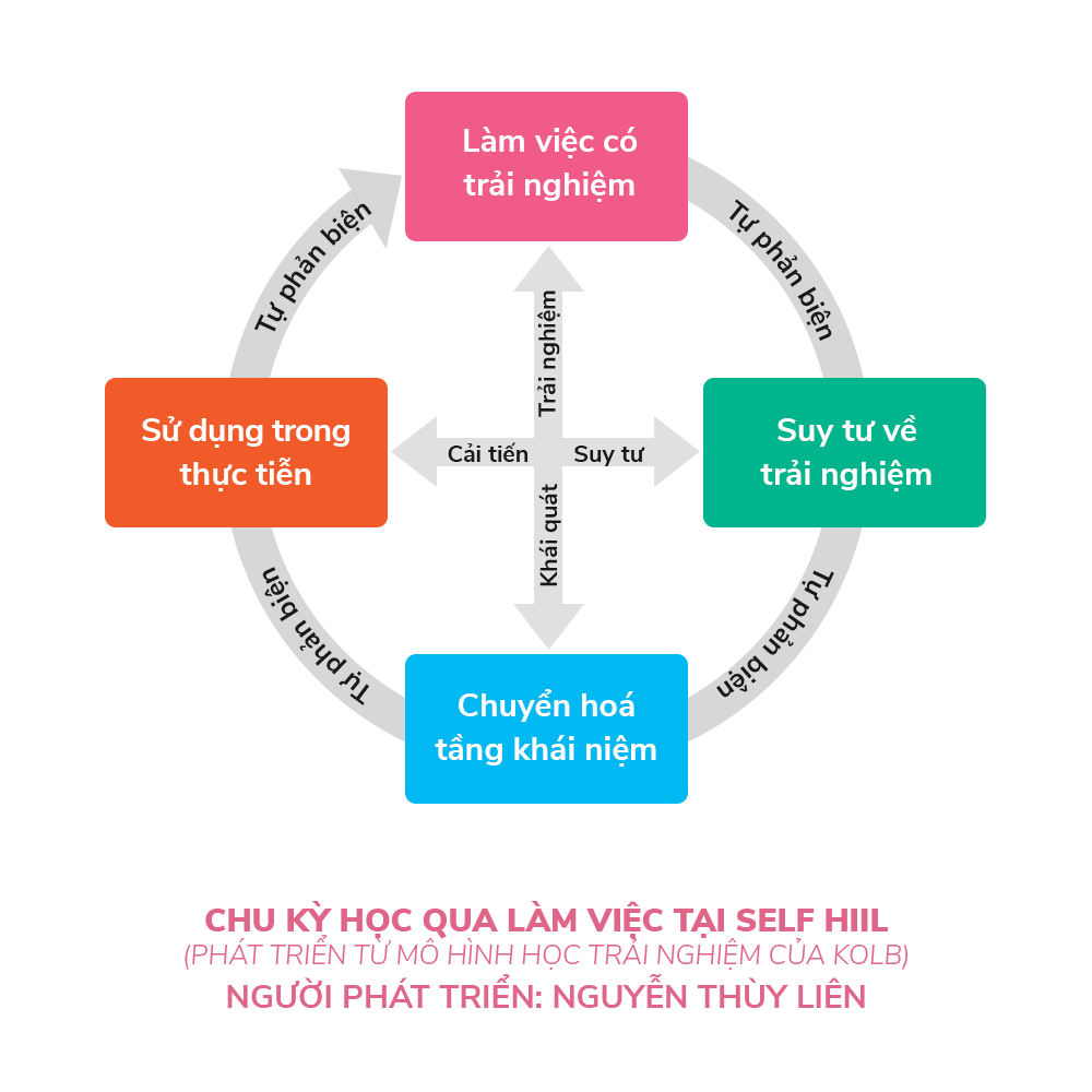Chu kỳ học qua làm việc tại Self Hiil - Phát triển từ Mô hình học trải nghiệm của Kolb